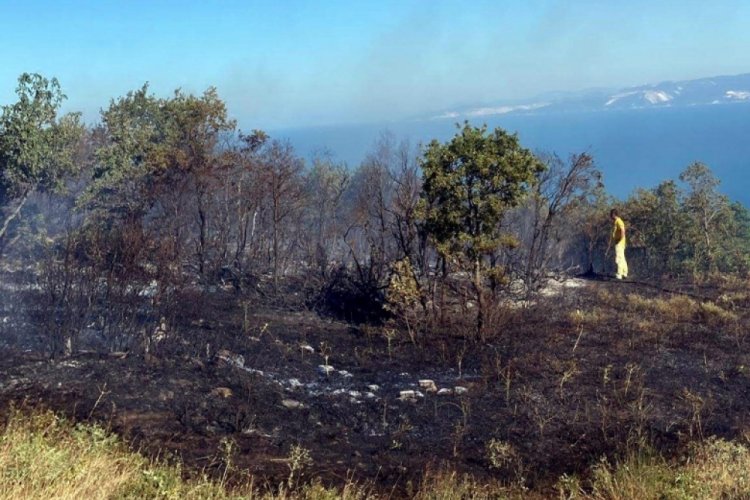 Tekirdağ'da orman yangınına neden olan 3 kişi tutuklandı