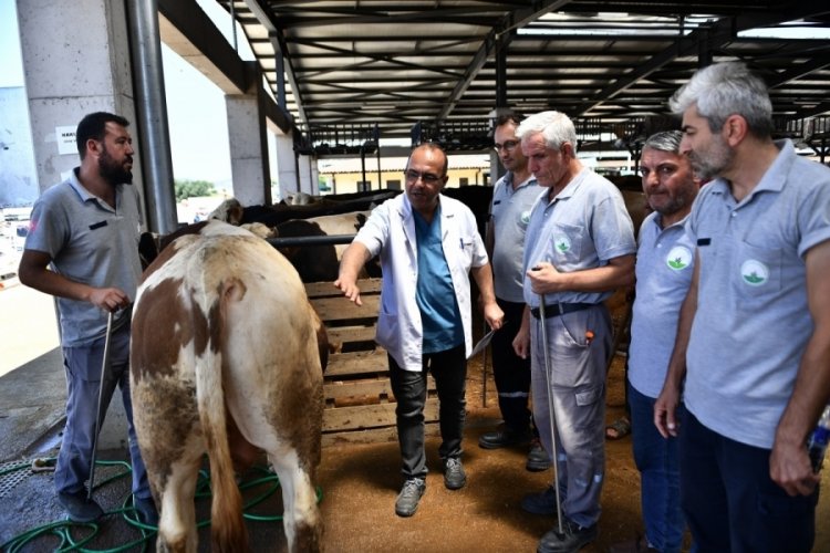 Bursa Osmangazi'nin kurban yakalama timleri hazır