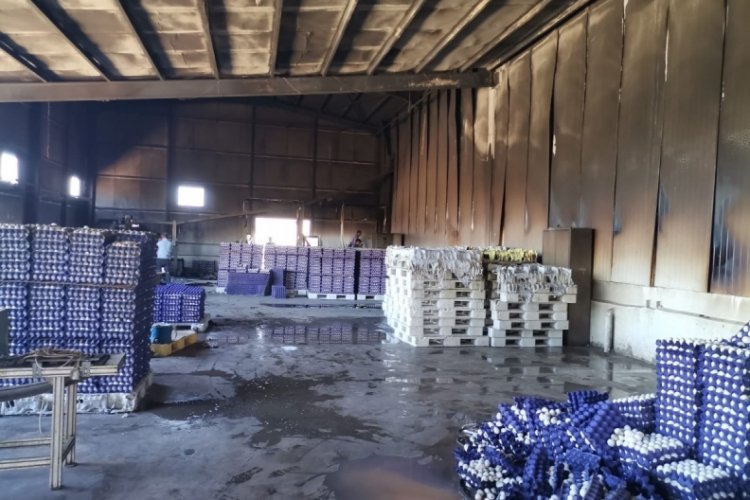 Yumurta &ccedil;iftliği yandı: 60 bin tavuk telef oldu