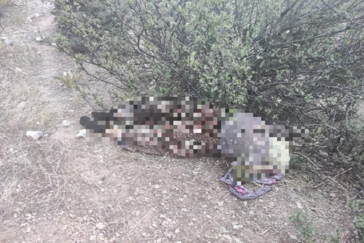 Kayıp olarak aranan 80 yaşındaki kadın &ouml;l&uuml; olarak bulundu