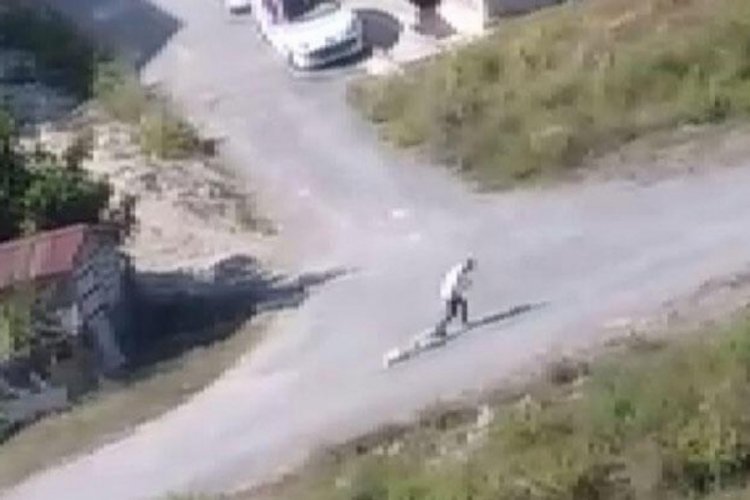 İstanbul Arnavutk&ouml;y'de boynuna ip bağladığı k&ouml;peği metrelerce s&uuml;r&uuml;kledi
