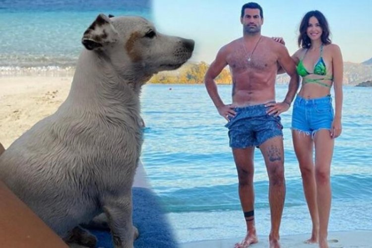 Zeynep Sever Demirel'in k&ouml;peği de tatilde