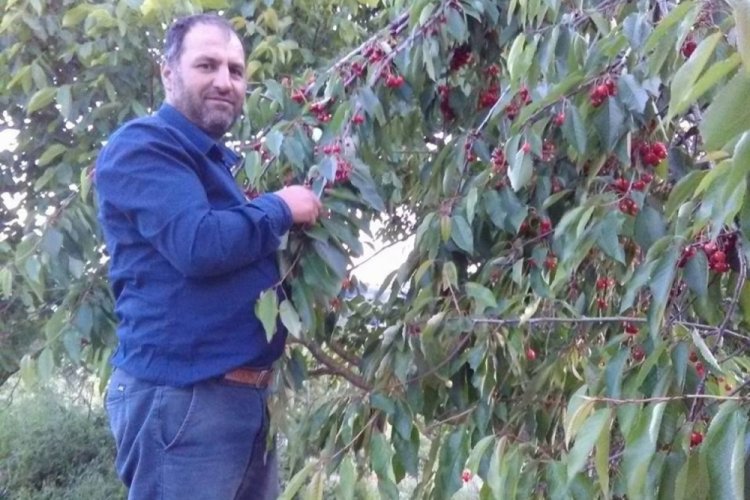 Bursa'da 'tarlamı bedelsiz ekip bi&ccedil;tin' cinayeti sanığına hapis cezası