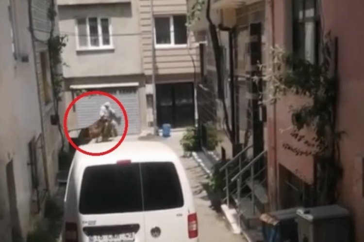Bursa'da kurbanlıklar vatandaşlara zor anlar yaşattı