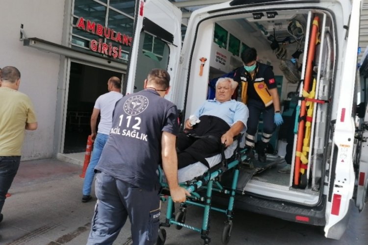 Kocaeli'de bayram bilan&ccedil;osu: 271 kişi kurbanlık keserken yaralandı