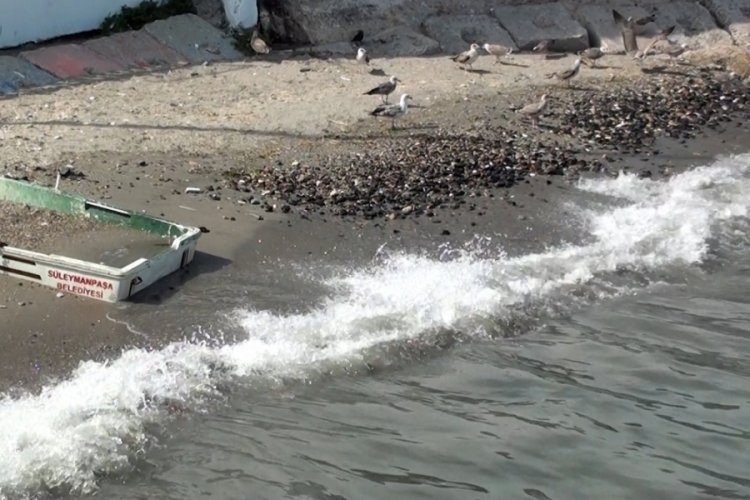 Tekirdağ'da fırtına etkili oldu