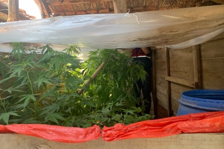 Trakt&ouml;r kasasını seraya &ccedil;eviren şahıs g&ouml;zaltına alındı