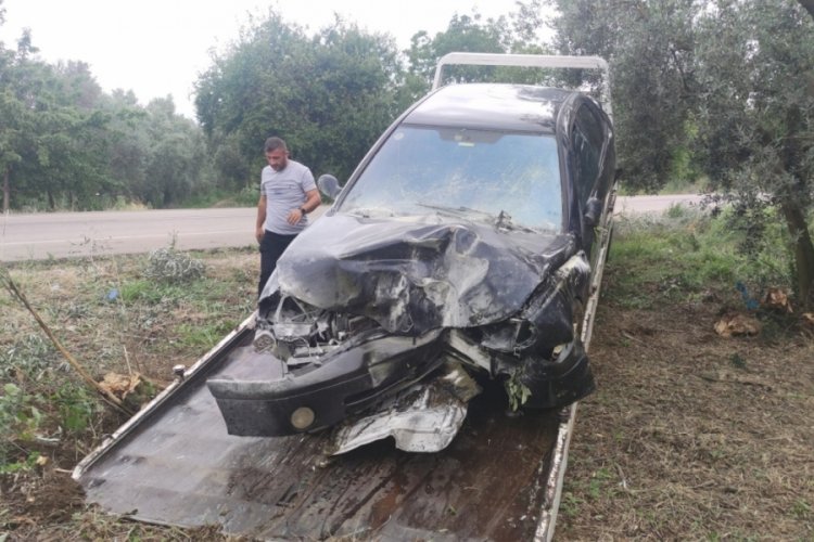 Bursa'da otomobil zeytinliğe u&ccedil;tu: 3 yaralı