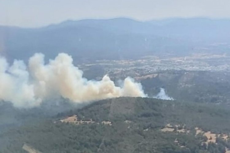 Muğla Bodrum'da ormanlık alanda yangın &ccedil;ıktı