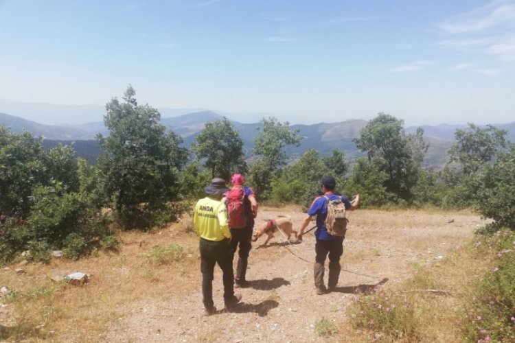 Manisa'da g&uuml;nlerdir haber alınamayan kişi yaylada &ouml;l&uuml; bulundu
