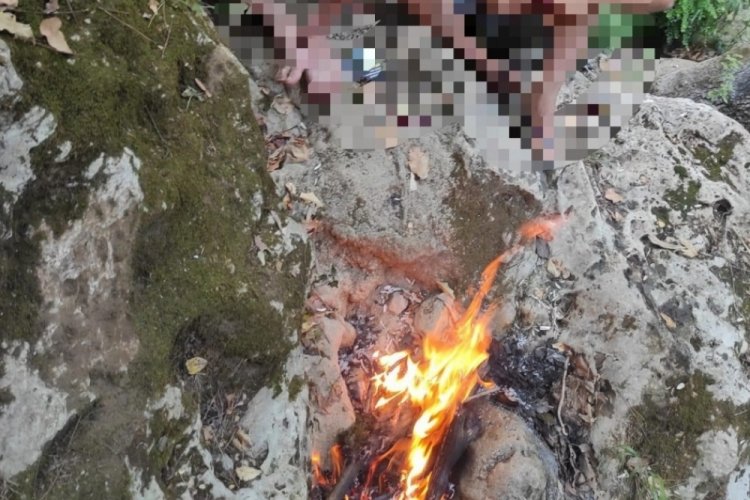 Ormanda piknik ateşi yakanlara jandarmadan su&ccedil;&uuml;st&uuml;