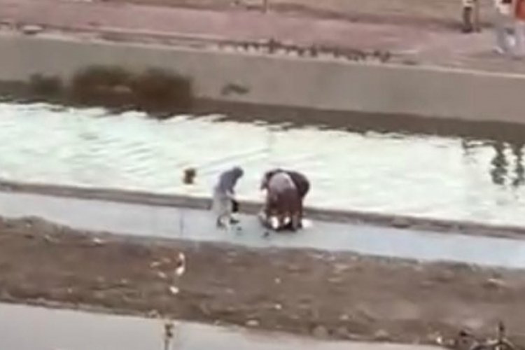 3 &ccedil;ocuk boğulmaktan son anda kurtarıldı