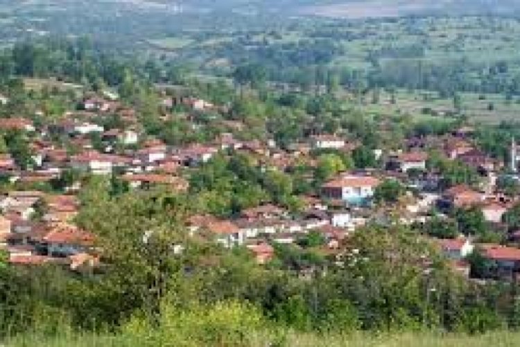 Bursa Yenişehir'de kişi başına d&uuml;şen yeşil alan y&uuml;zde 50 arttı