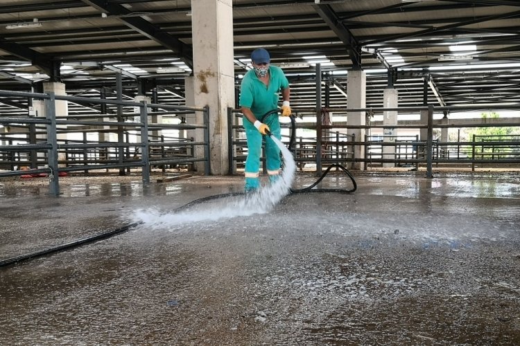 Bursa Osmangazi'de kurban satış yerlerindeki atıklar temizlendi