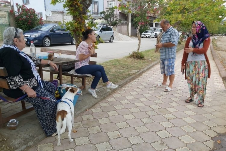Bursa'da gen&ccedil; kız k&ouml;pek saldırısına uğradı