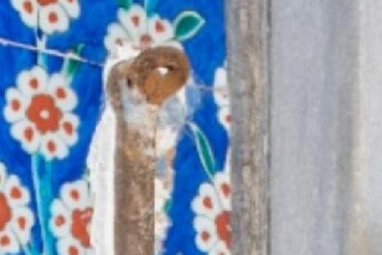 Topkapı Sarayı i&ccedil;in Milli Saraylar'dan '&ccedil;ini' a&ccedil;ıklaması