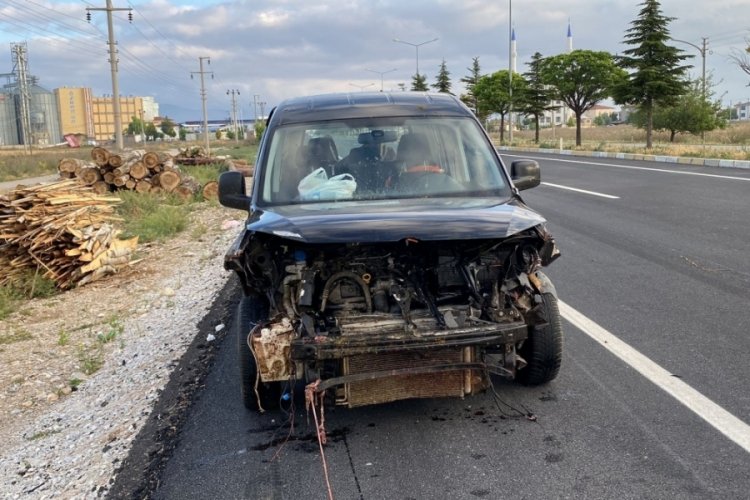 Otomobilin &ccedil;arptığı hamile koyunun karnındaki kuzu dışarı fırladı