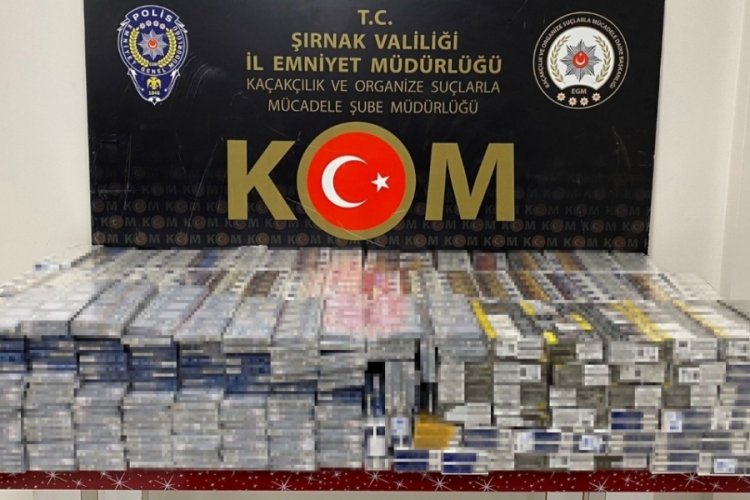 Ka&ccedil;ak&ccedil;ılık ve asayiş operasyonu: 73 g&ouml;zaltı