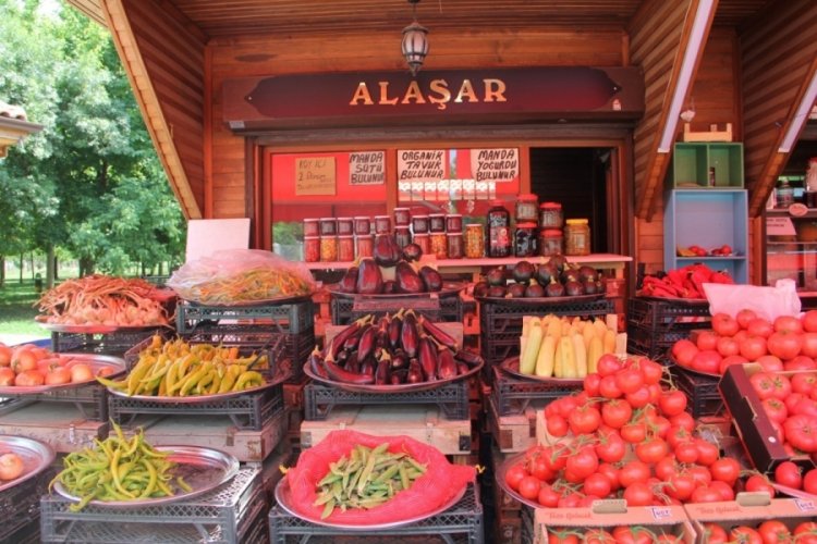 Bursa'nın k&ouml;yl&uuml; &uuml;reticileri isyan etti: Eskiden k&ouml;yl&uuml; milletin efendisiydi, şimdi... (&Ouml;ZEL HABER)
