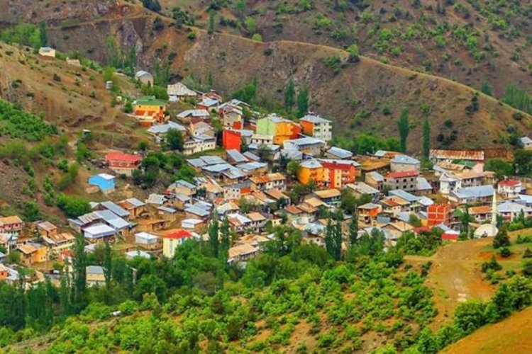 Giresun'da 14 kişi mantardan zehirlendi: Valilik uyardı