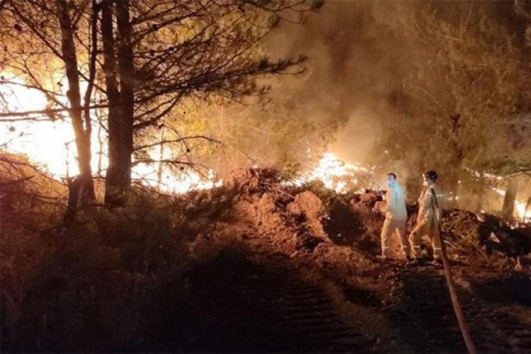 Tarım ve Orman Bakanlığı Dat&ccedil;a yangını i&ccedil;in yeni a&ccedil;ıklamalarda bulundu