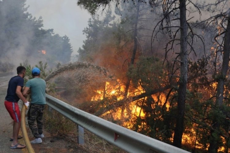 Muğla Dat&ccedil;a'da orman yangını: Yangın yerleşim yerlerine sı&ccedil;radı
