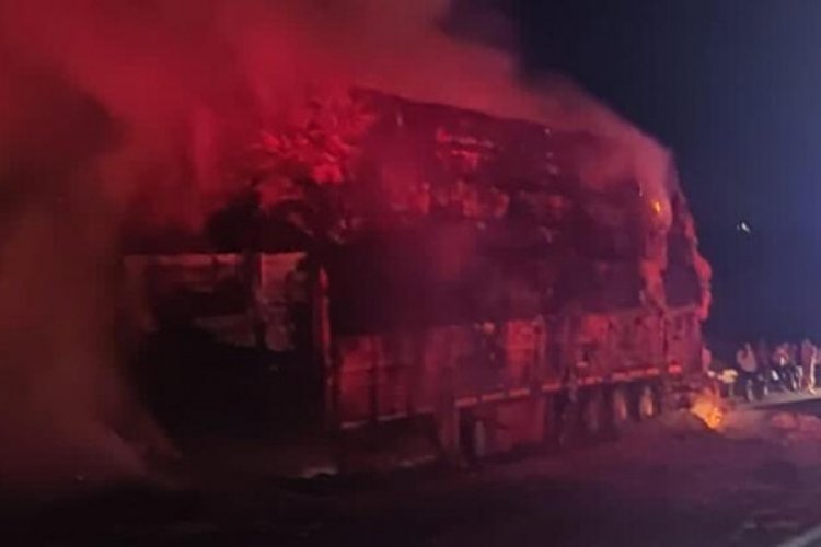 Zeytinlik alanda &ccedil;ıkan yangın TIR'ı kullanılamaz hale getirdi