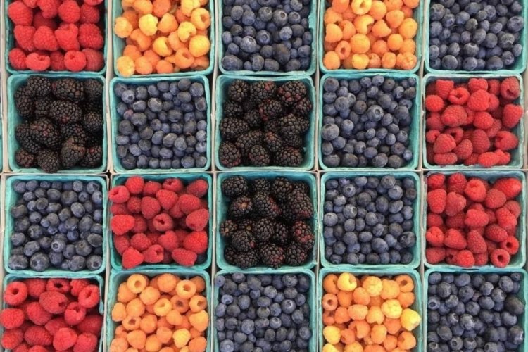 Berry piyasalarında neler oluyor?