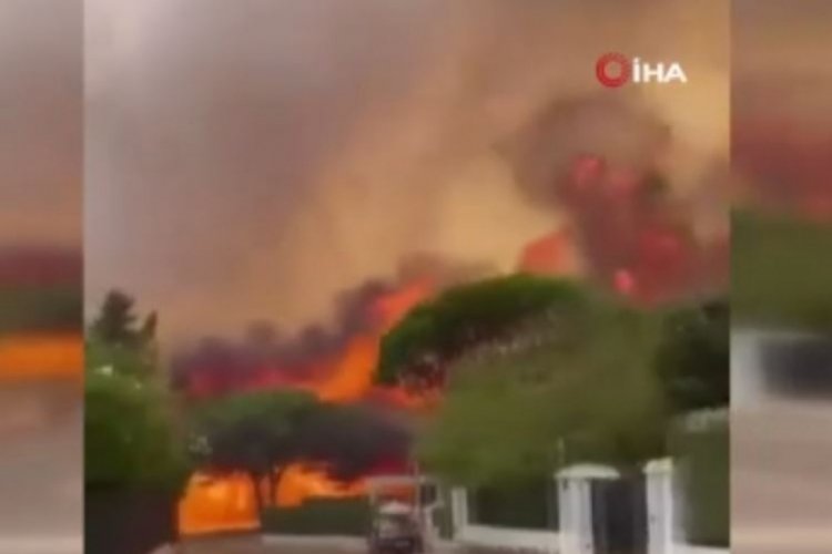 İspanya'da orman yangını nedeniyle binlerce kişi tahliye edildi