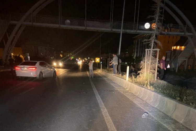 Ağrı'da tırın &ccedil;arptığı kadın &ouml;ld&uuml;