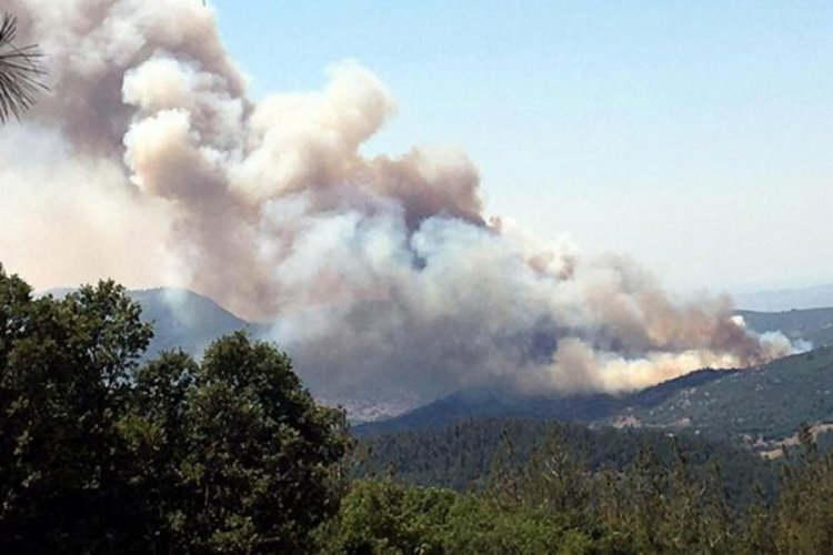 Balıkesir'de orman yangını! Havadan ve karadan m&uuml;dahale devam ediyor