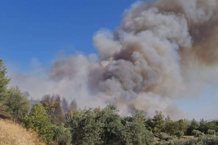 Aydın'daki orman yangınına havadan ve karadan m&uuml;dahale devam ediyor