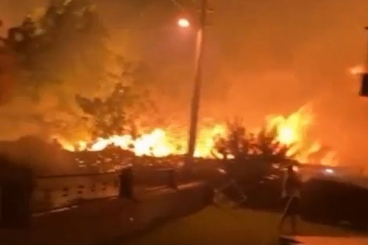 İzmir'de bir yangın daha &ccedil;ıktı