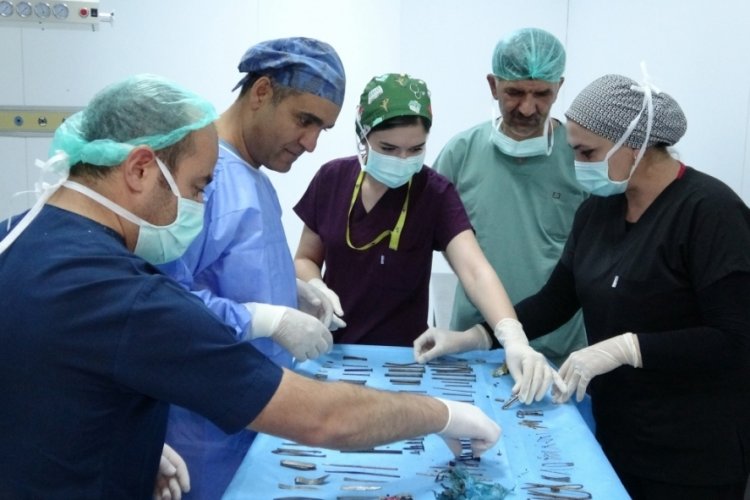 Midesinden &ccedil;ıkanlara doktorlar bile inanamadı
