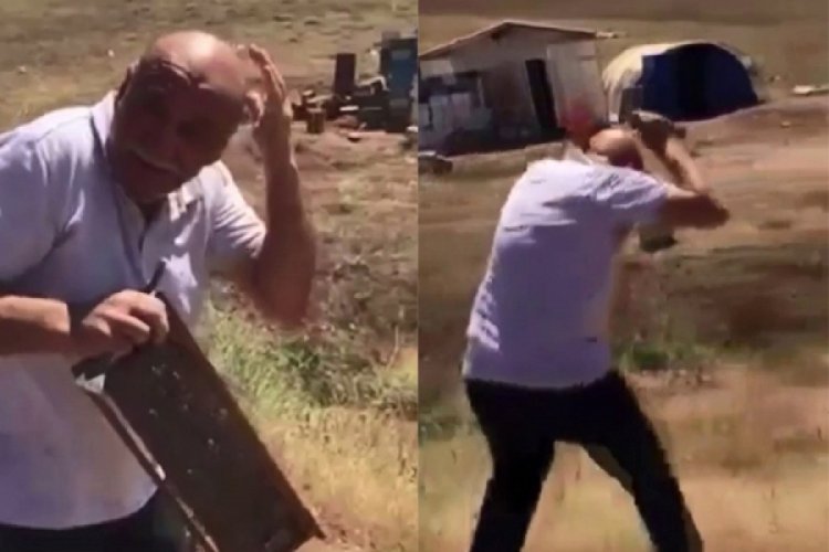 Erzurumlu vatandaşın arılarla imtihanı g&uuml;ld&uuml;rd&uuml;