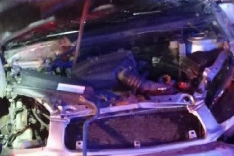 D&uuml;ğ&uuml;ne giderken kaza yaptılar: 2  kişi hayatını kaybetti