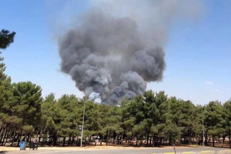 Gaziantep'te orman yangını: Yerleşim yerlerini tehdit ediyor
