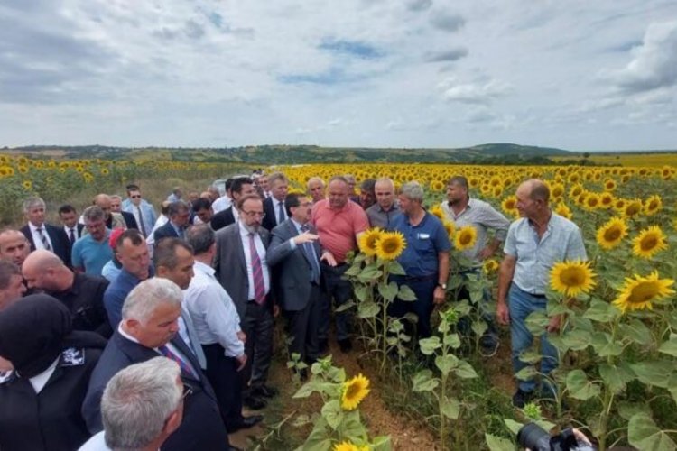 Bakan Yardımcısı Pakdil tırtıl istilası konusunda a&ccedil;ıklama yaptı