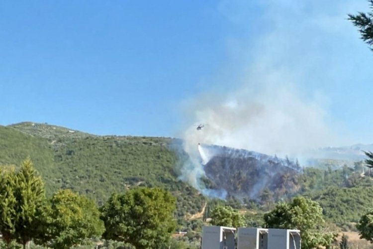 Manisa'da orman yangını! Havadan ve karadan m&uuml;dahale başlatıldı
