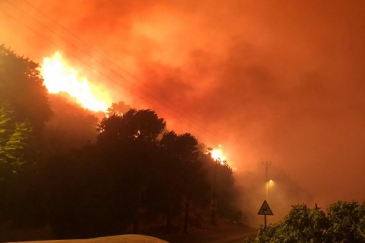 &Ccedil;eşme'de yine yangın &ccedil;ıktı