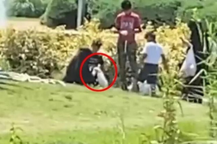Parktan &ouml;rdek &ccedil;aldığı iddia edilen kadınlar konuştu