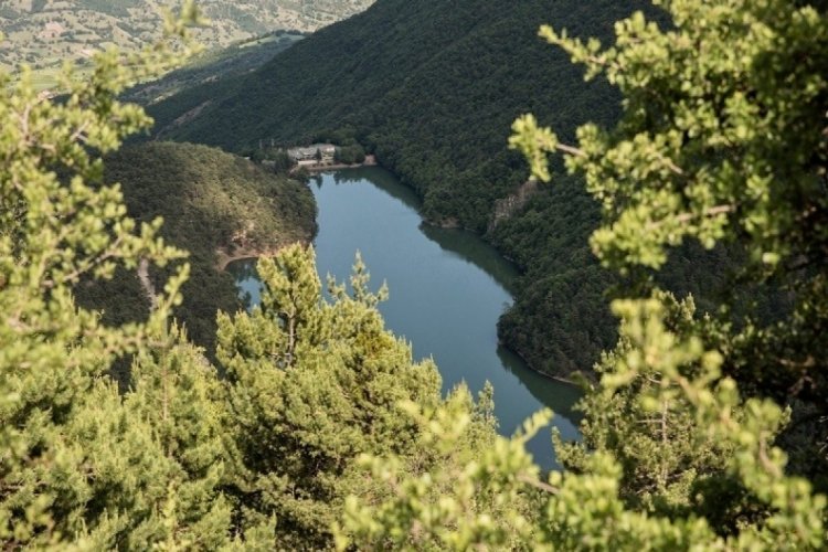Amasya'da ormanlara girişler yasaklandı!