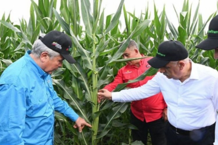 Bakan Kirişci Venezuela'da toprak bakıyor