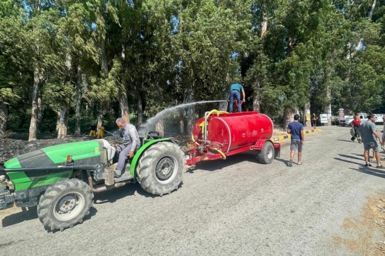 Muğla'da Aşıklar Yolu'ndaki ağa&ccedil;lar yanmaktan kurtarıldı