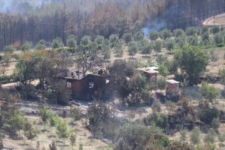 Manisa'daki orman yangında 2 kişi tutuklandı