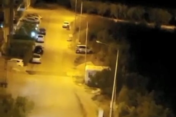 Bursa'da domuzlar şehir merkezine indi