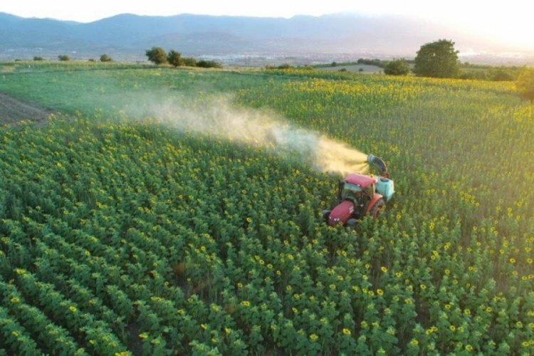 Tırtıl basan tarlalara, Bursa İneg&ouml;l Belediyesi'nden m&uuml;dahale
