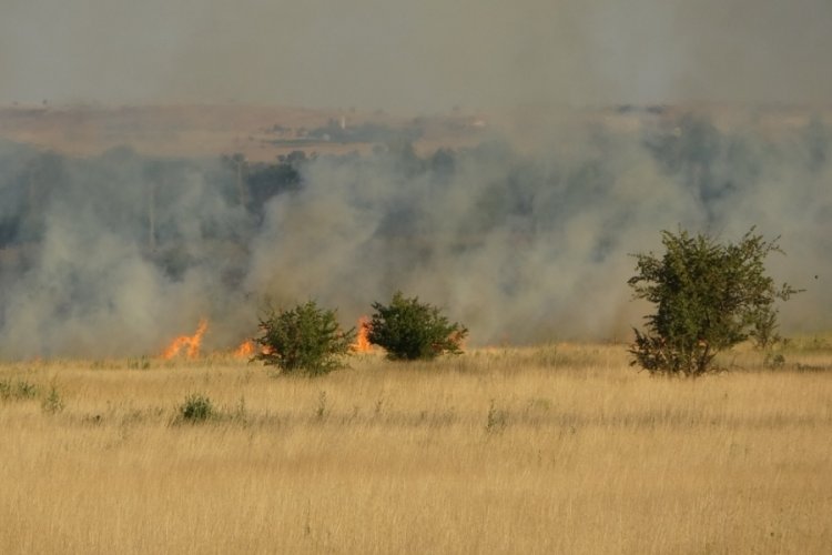 Uşak Havaalanı'nda yangın