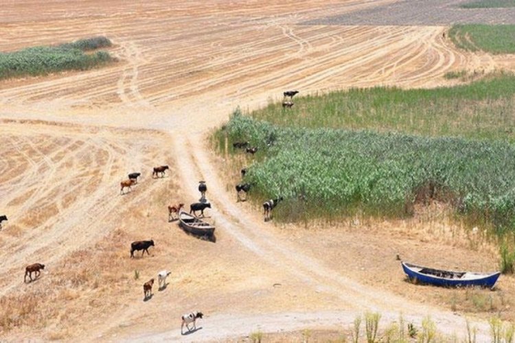 Marmara G&ouml;l&uuml; i&ccedil;in hazırlanan proje tamamlandı