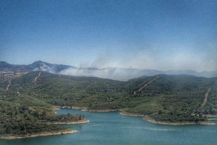 İzmir'de orman yangını &ccedil;ıktı